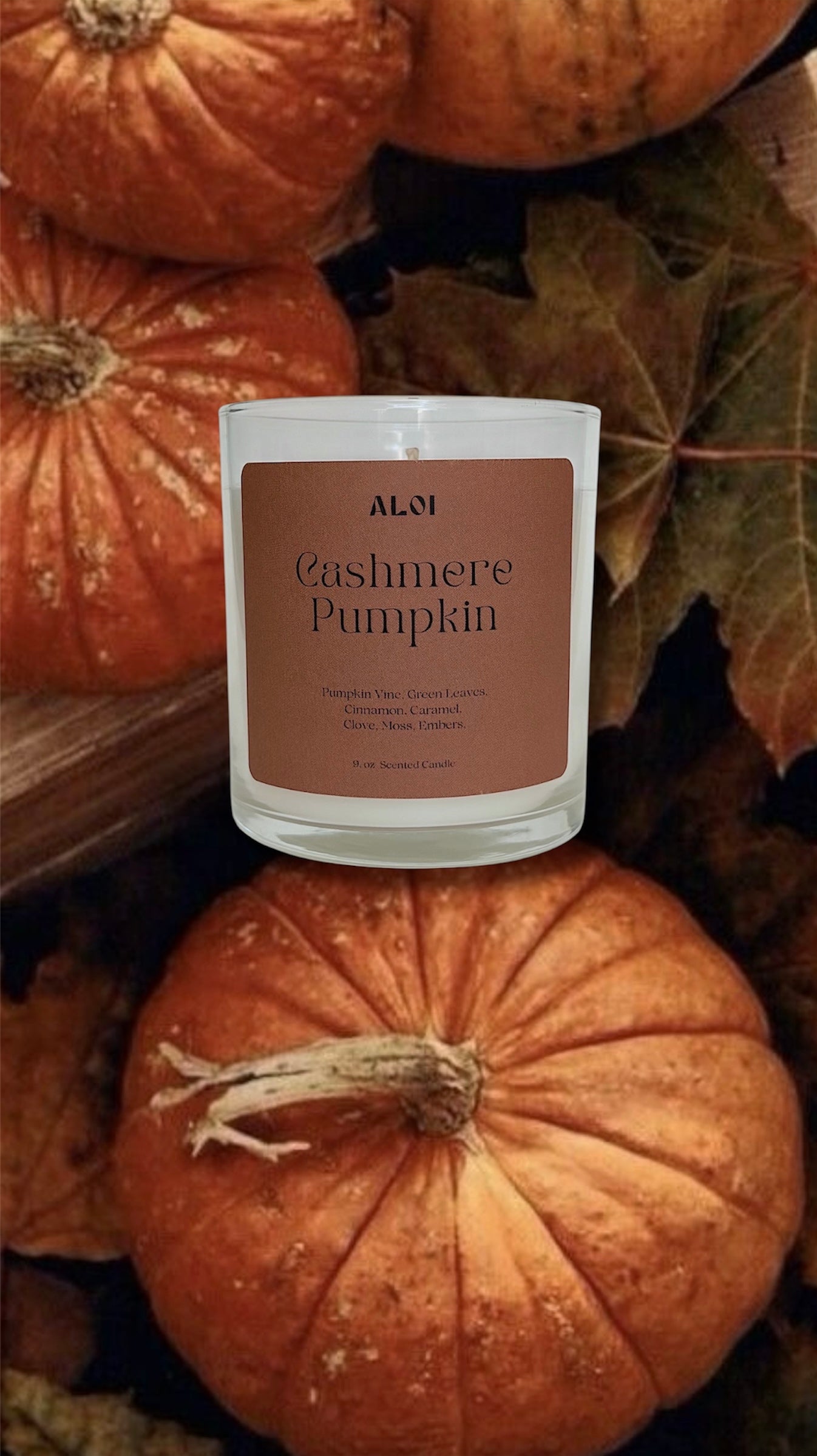 Cashmere Pumpkin